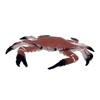 Obrázek z Krab strečový (24) 